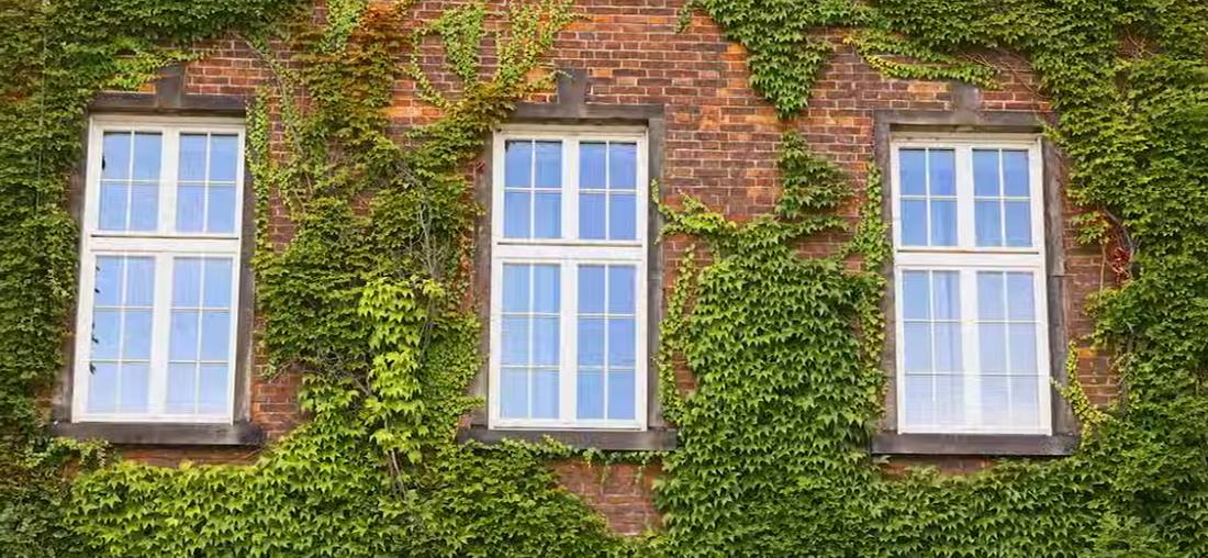 Discover the Secret to Streak-Free Mirrors and Glass Surfaces