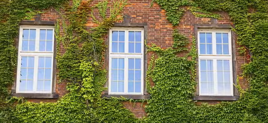 Discover the Secret to Streak-Free Mirrors and Glass Surfaces